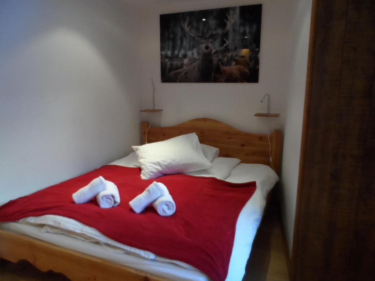 Prachtig Familie Appartement Voor 6 Personen In Het Hart Van Argentiere, Chamonix Mont-Blanc Kültér fotó